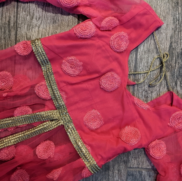 Stunning Lehenga! - Picture 7 of 11